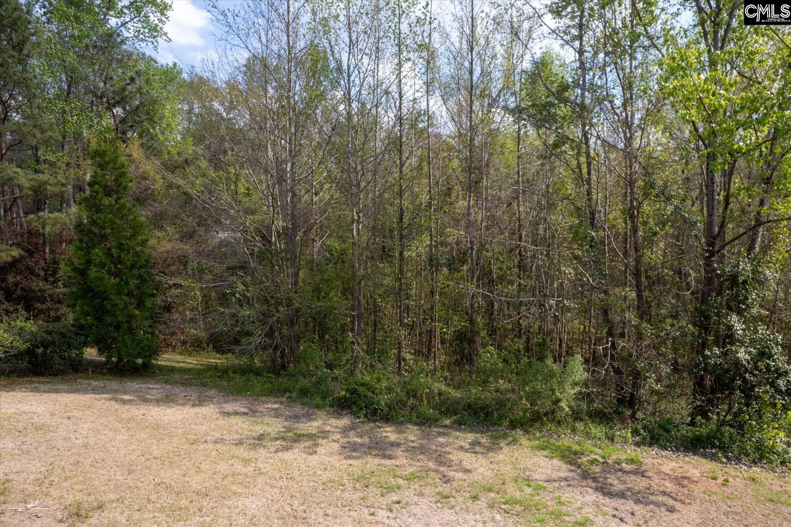 145 Autumn Oaks Lane Lexington, SC 29073