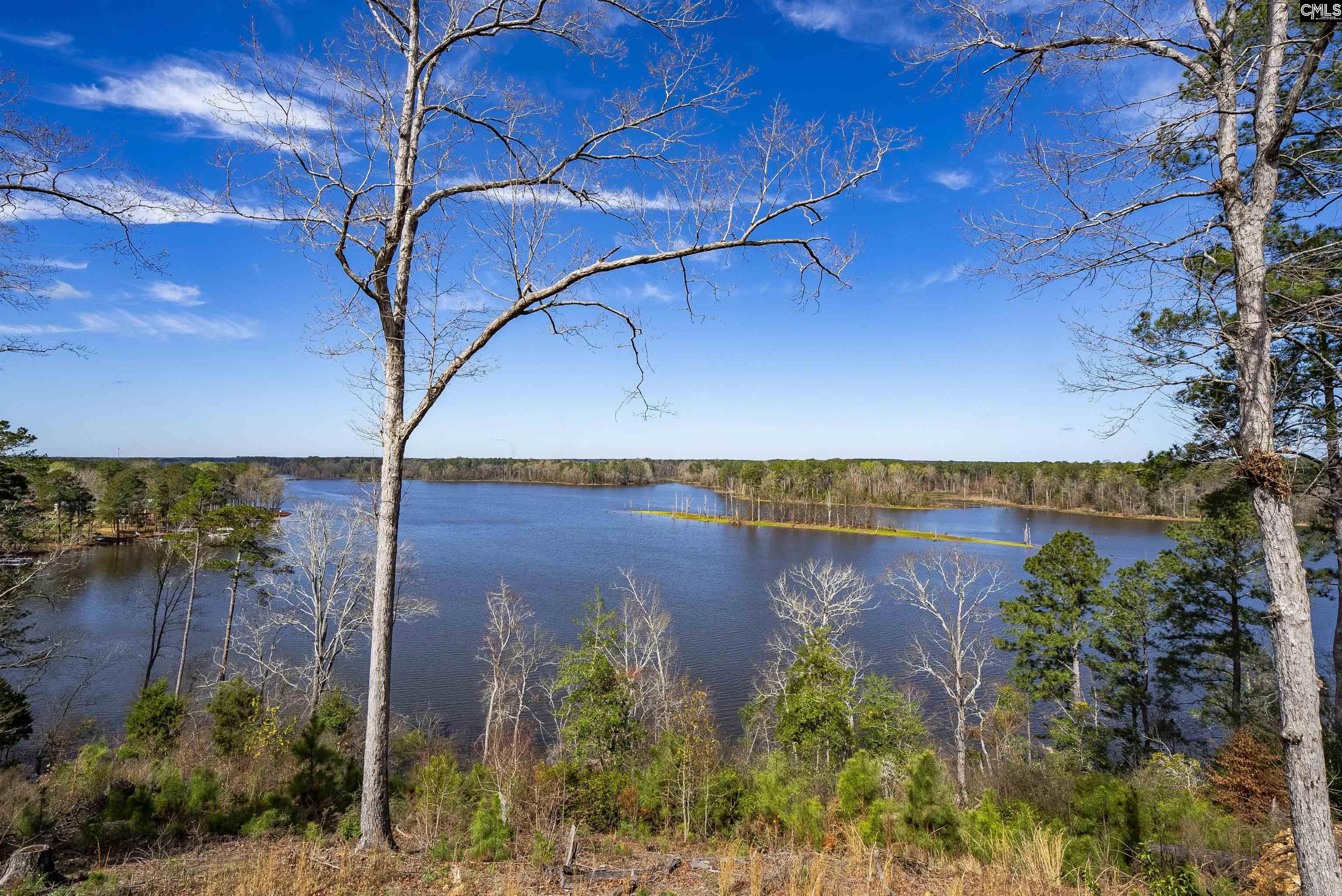 161 Saluda Bluff Road Batesburg, SC 29006