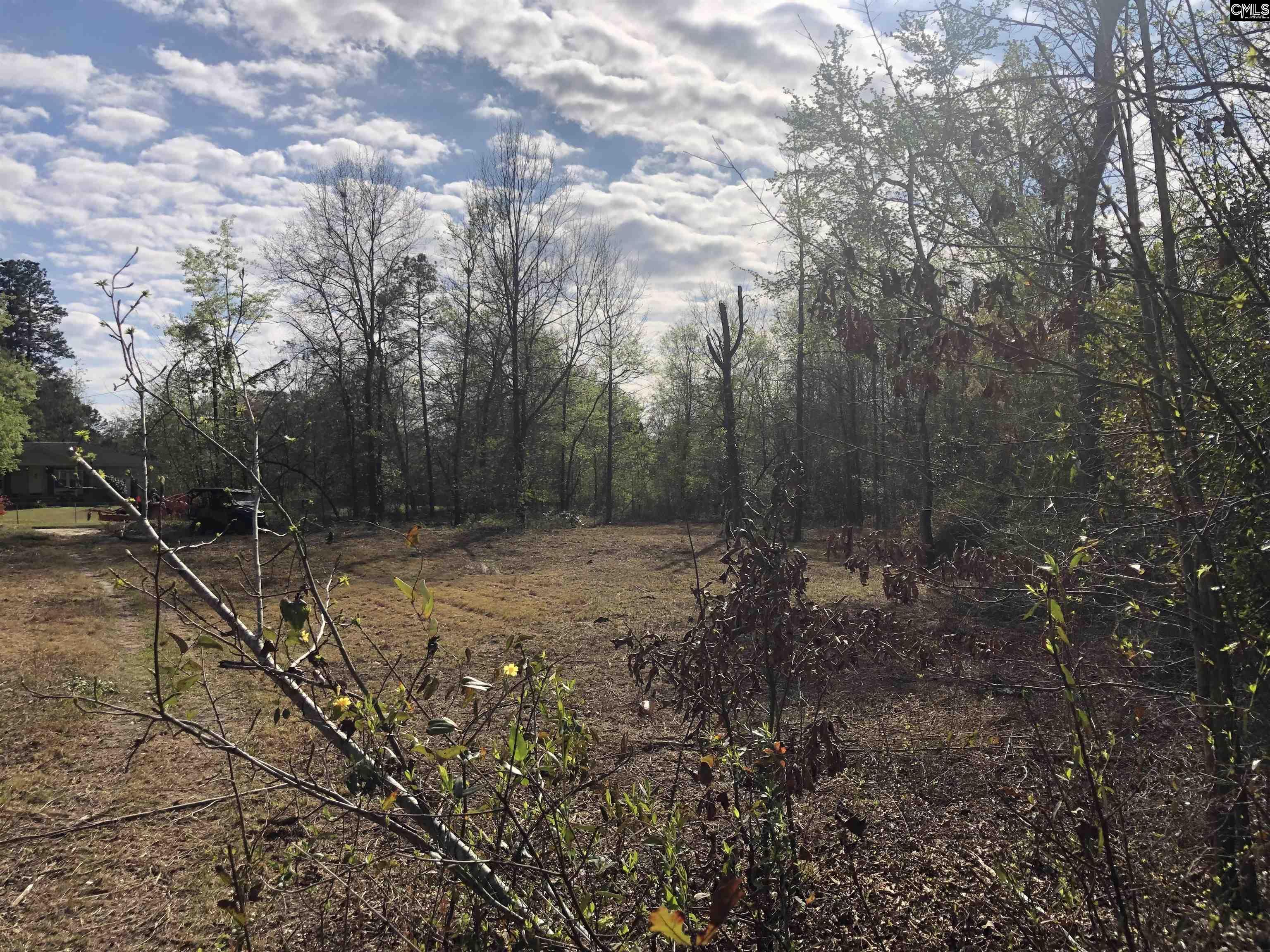 William Circle West Columbia, SC 29172