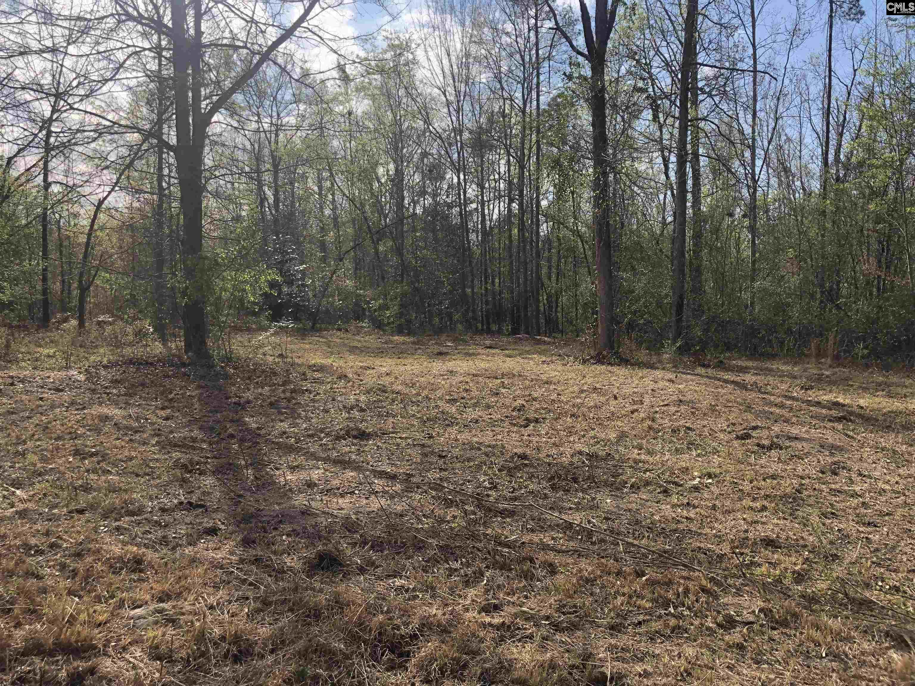 William Circle West Columbia, SC 29172