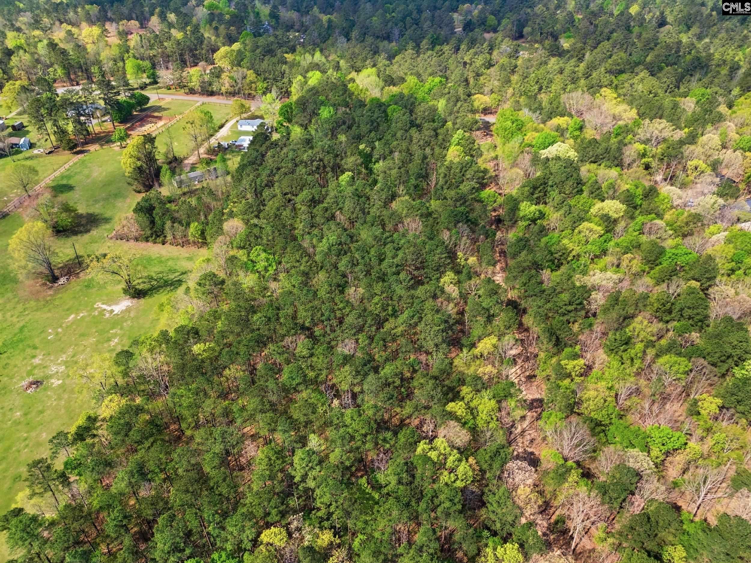 Wildwood Rd Extension Leesville, SC 29070