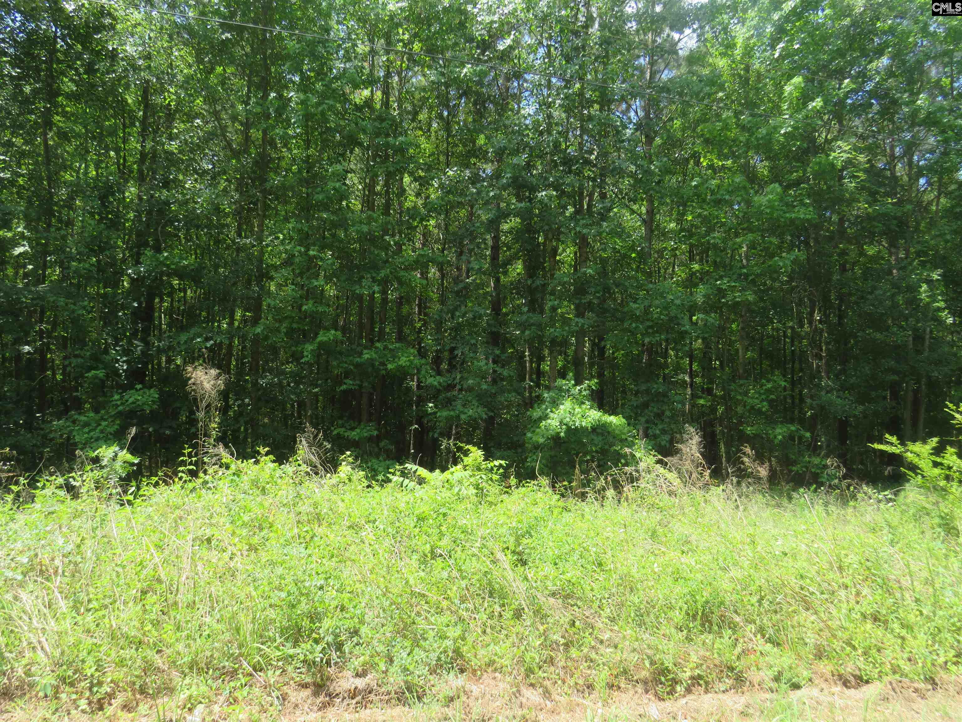S/s Old Eastover Road UNIT #3 Eastover, SC 29044