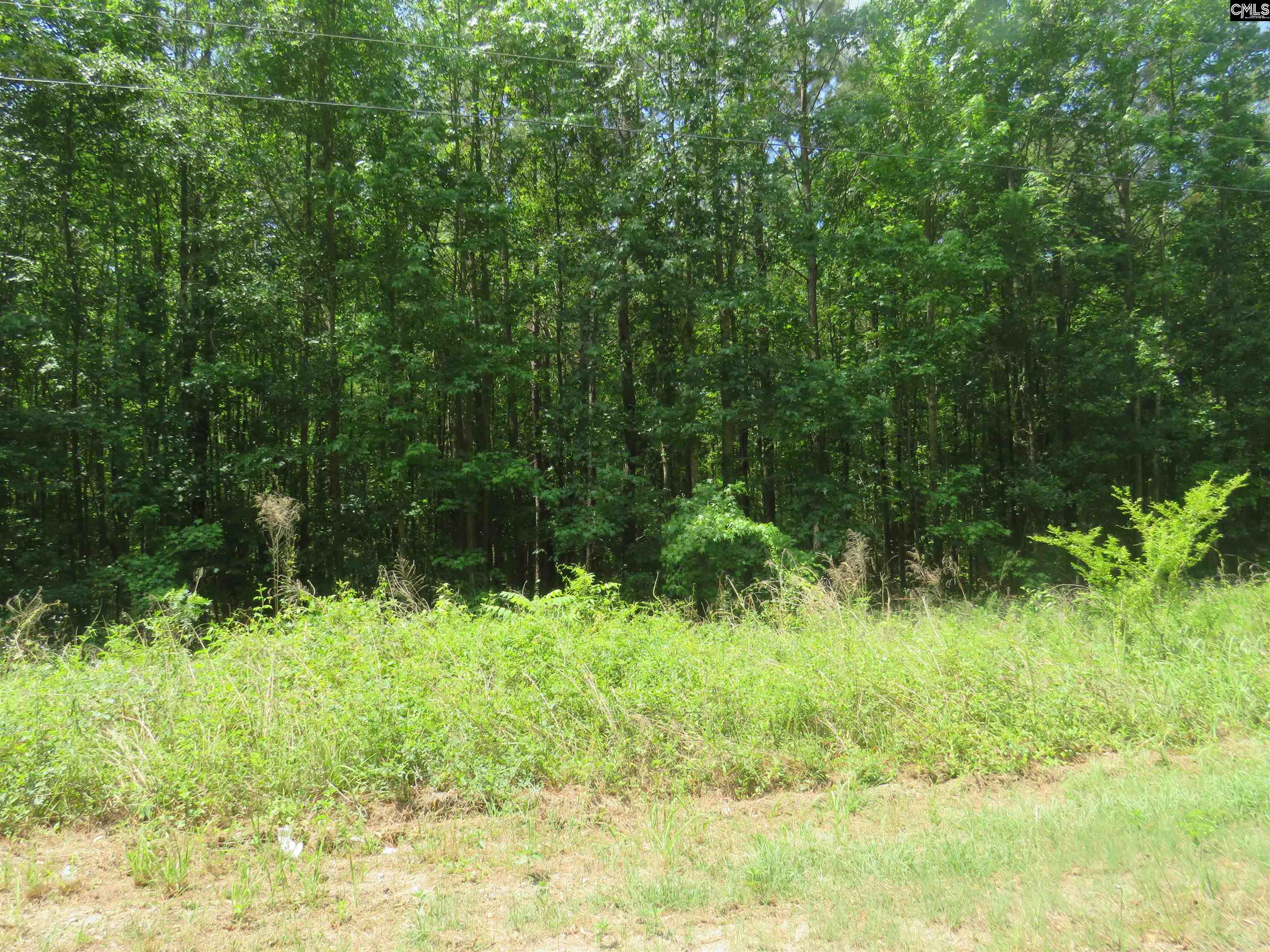 S/s Old Eastover Road UNIT #3 Eastover, SC 29044