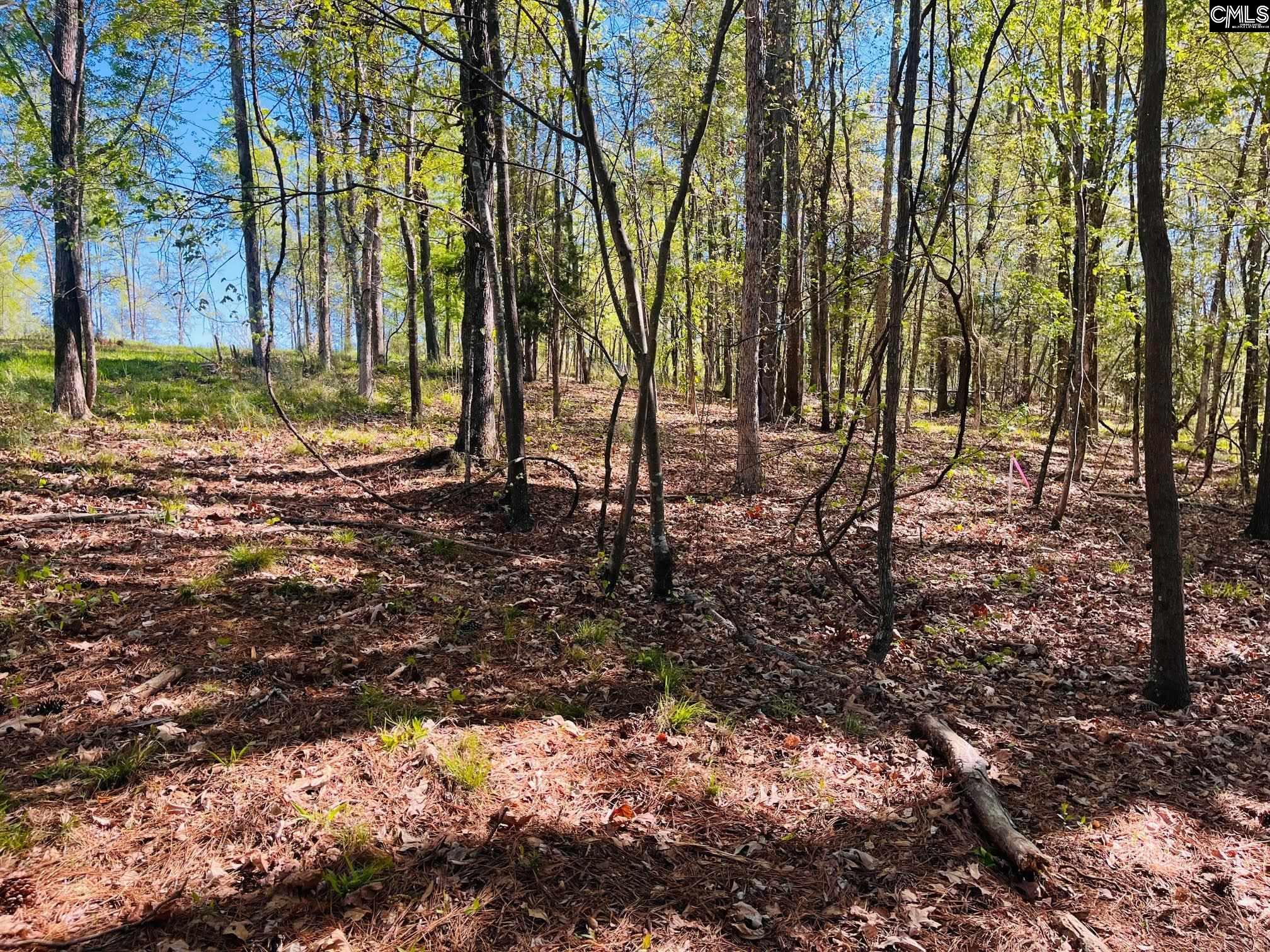 Lands End Lane UNIT #219 Prosperity, SC 29127