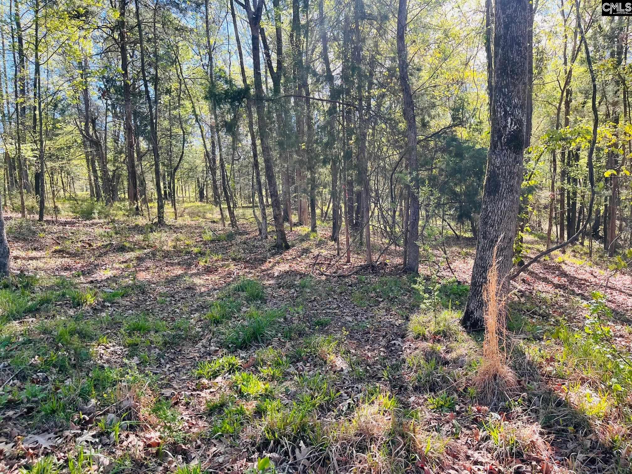 Lands End Lane UNIT #219 Prosperity, SC 29127