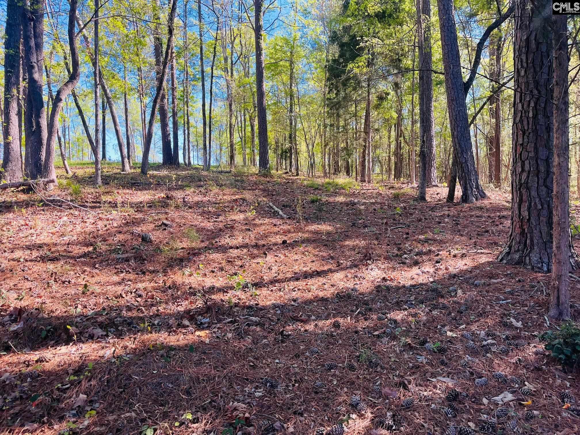 Lands End Lane UNIT #219 Prosperity, SC 29127
