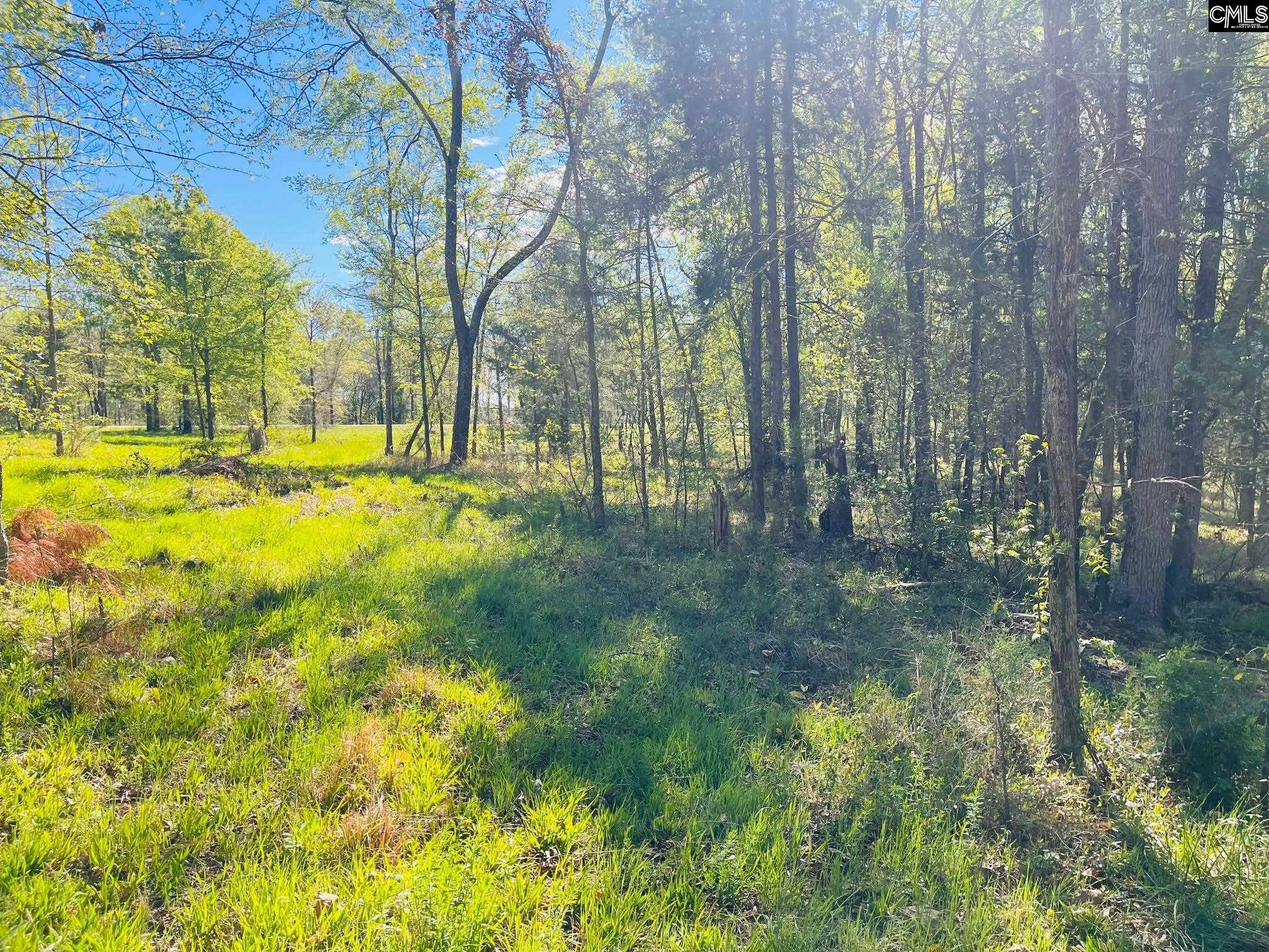 Lands End Lane UNIT #219 Prosperity, SC 29127