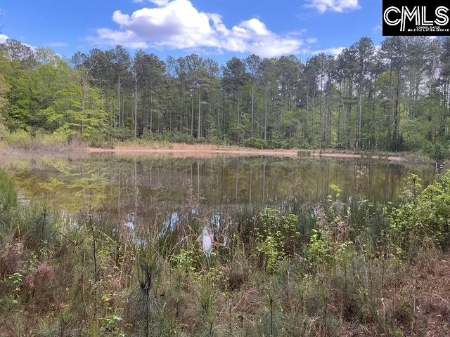 360 Rollingwood Drive Lexington, SC 29072-0000