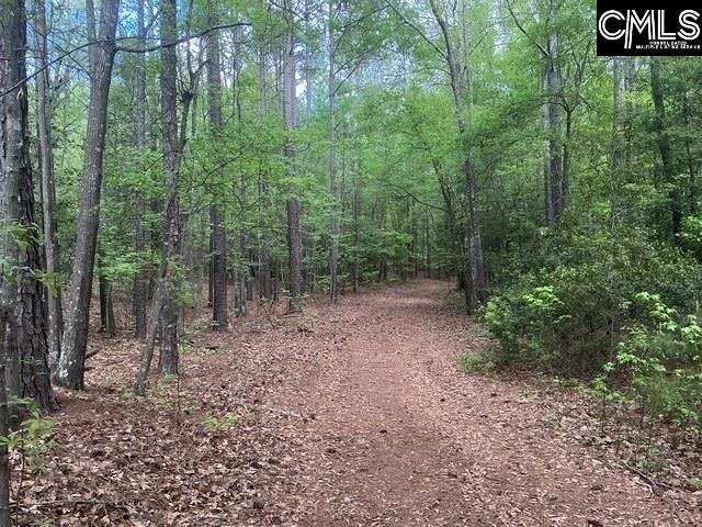 360 Rollingwood Drive Lexington, SC 29072-0000