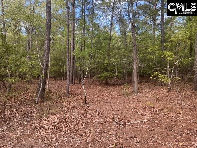 360 Rollingwood Drive Lexington, SC 29072-0000