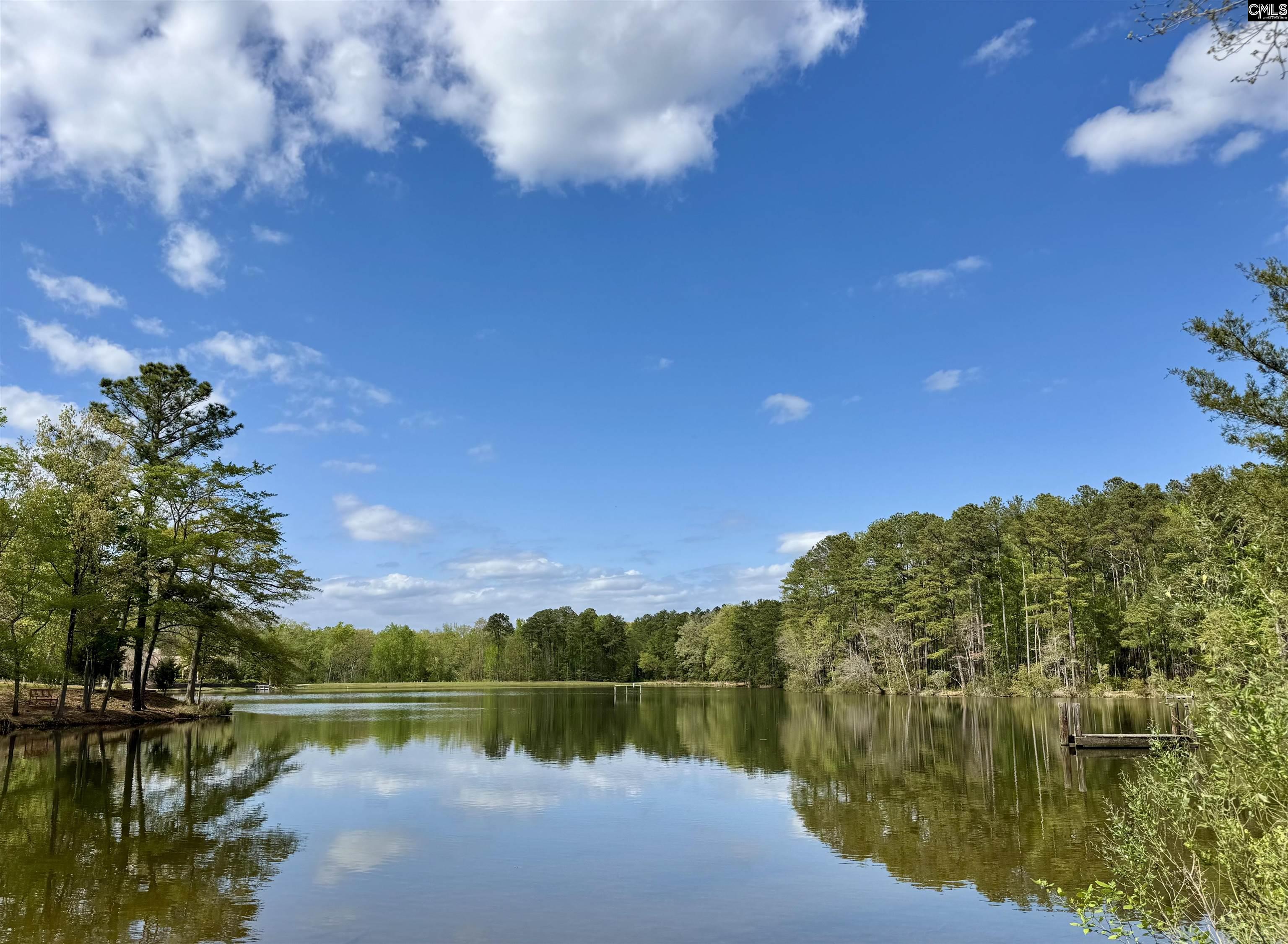 200 Clubside Drive UNIT #1 Lexington, SC 29072