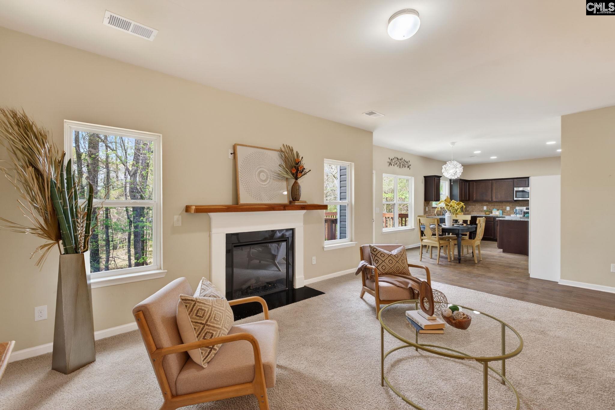 715 Soldier Gray Lane Chapin, SC 29036