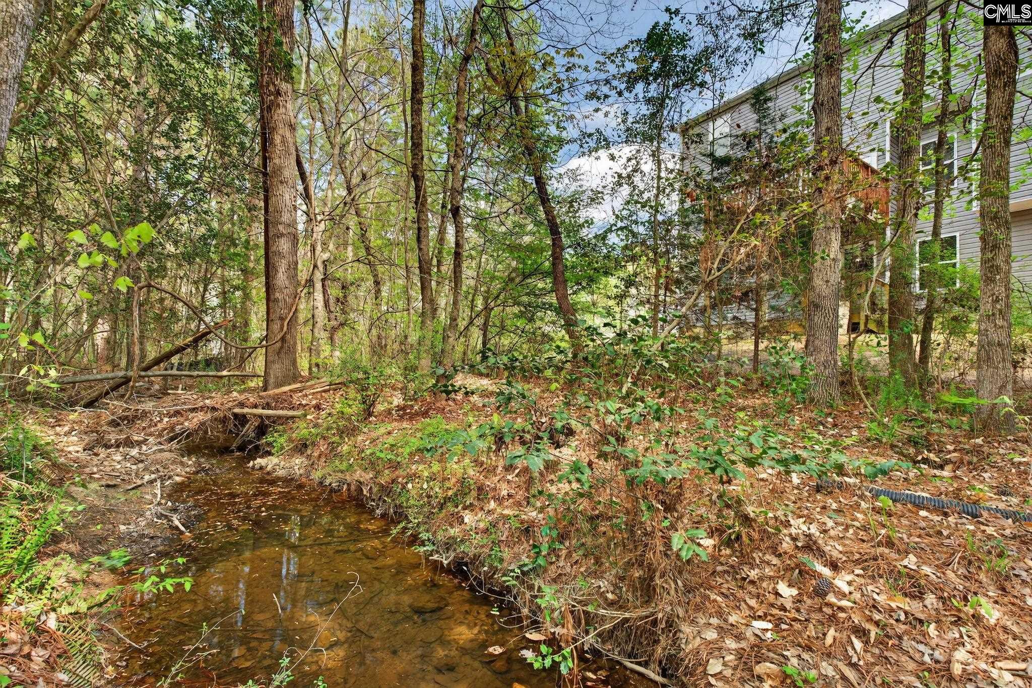715 Soldier Gray Lane Chapin, SC 29036