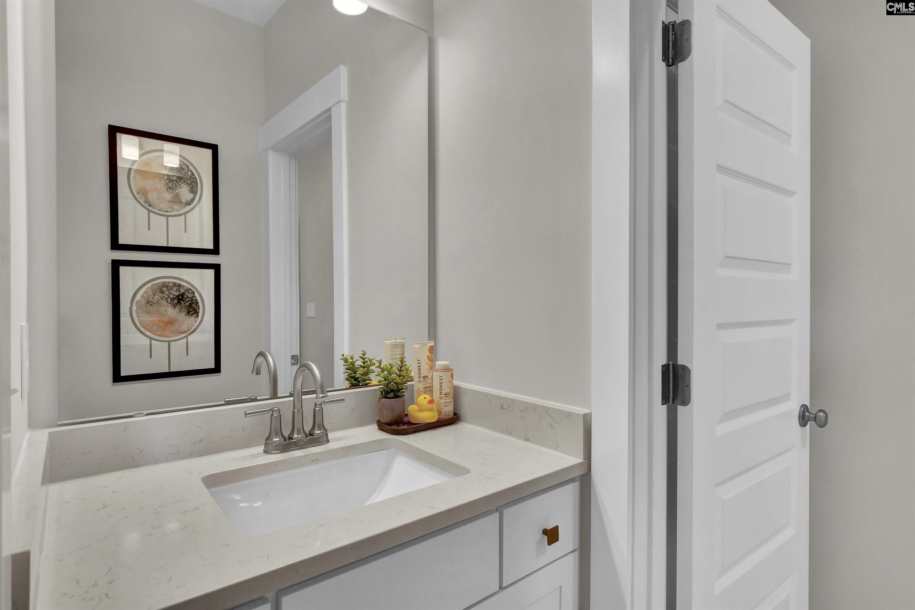 426 Rising Stream Way Chapin, SC 29036