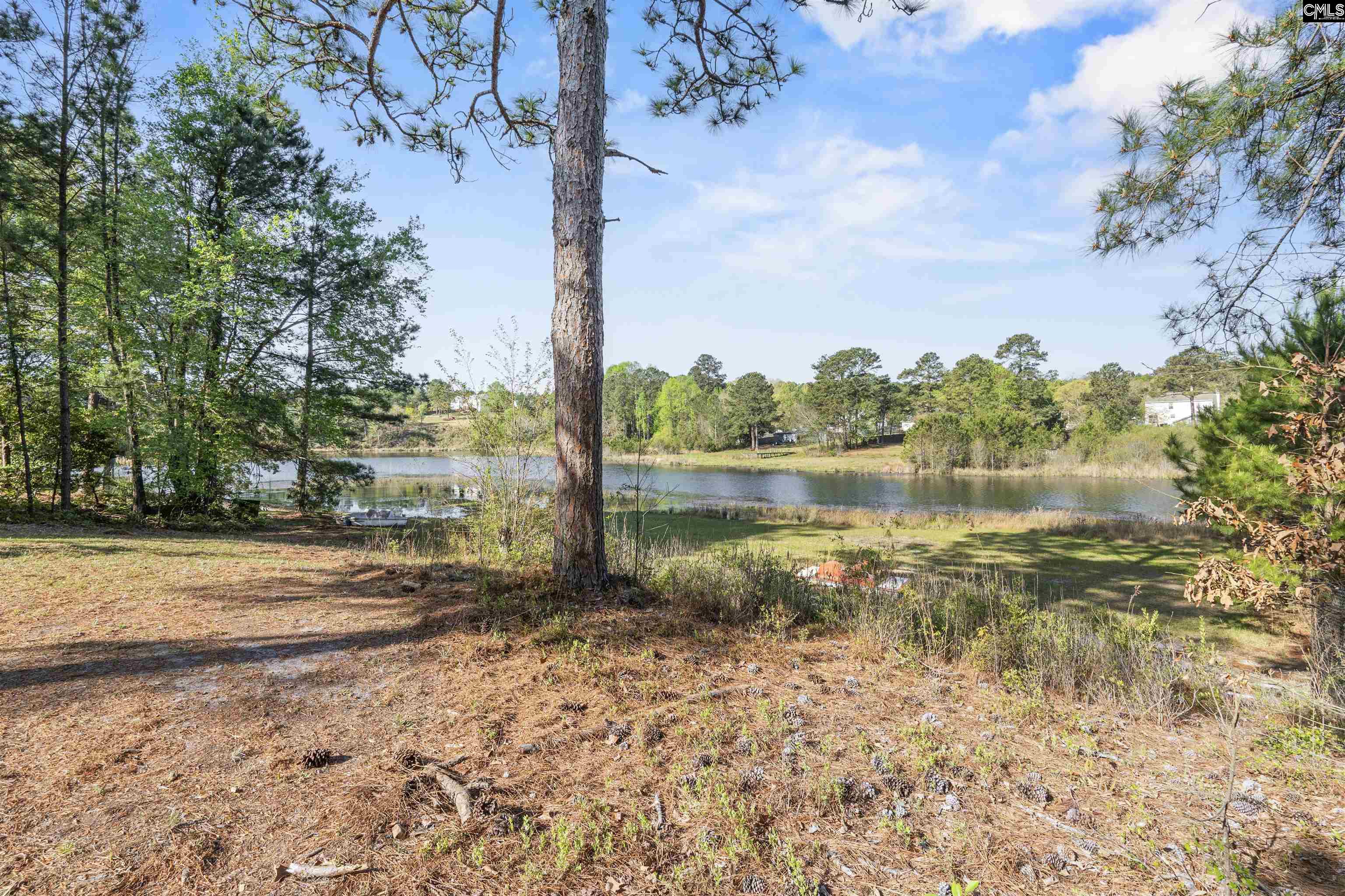 442 McLee Road Lexington, SC 29073