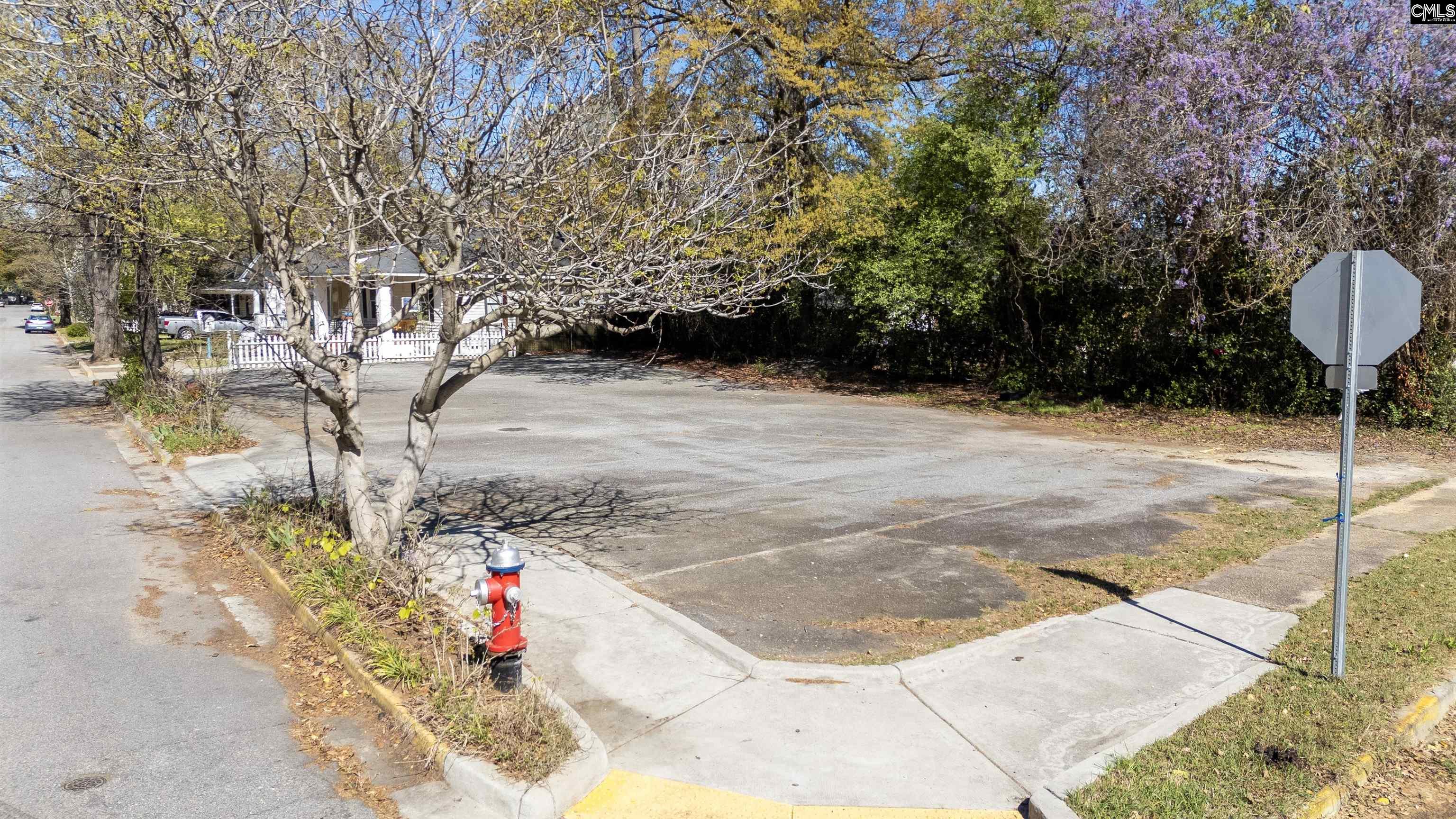N/S Columbia Avenue Columbia, SC 29201