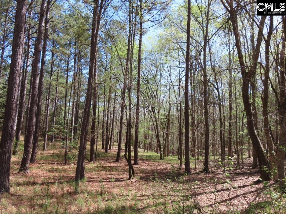 269 N Cable Road Winnsboro, SC 29180
