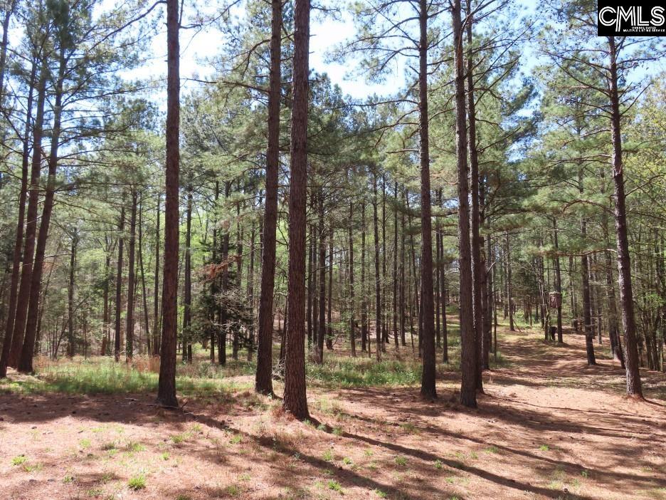 269 N Cable Road Winnsboro, SC 29180