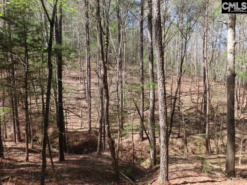269 N Cable Road Winnsboro, SC 29180