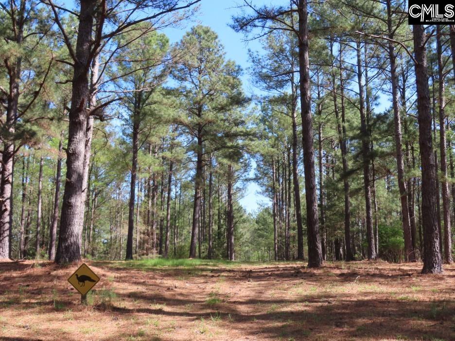 269 N Cable Road Winnsboro, SC 29180