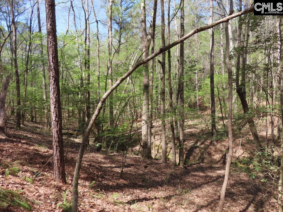 269 N Cable Road Winnsboro, SC 29180