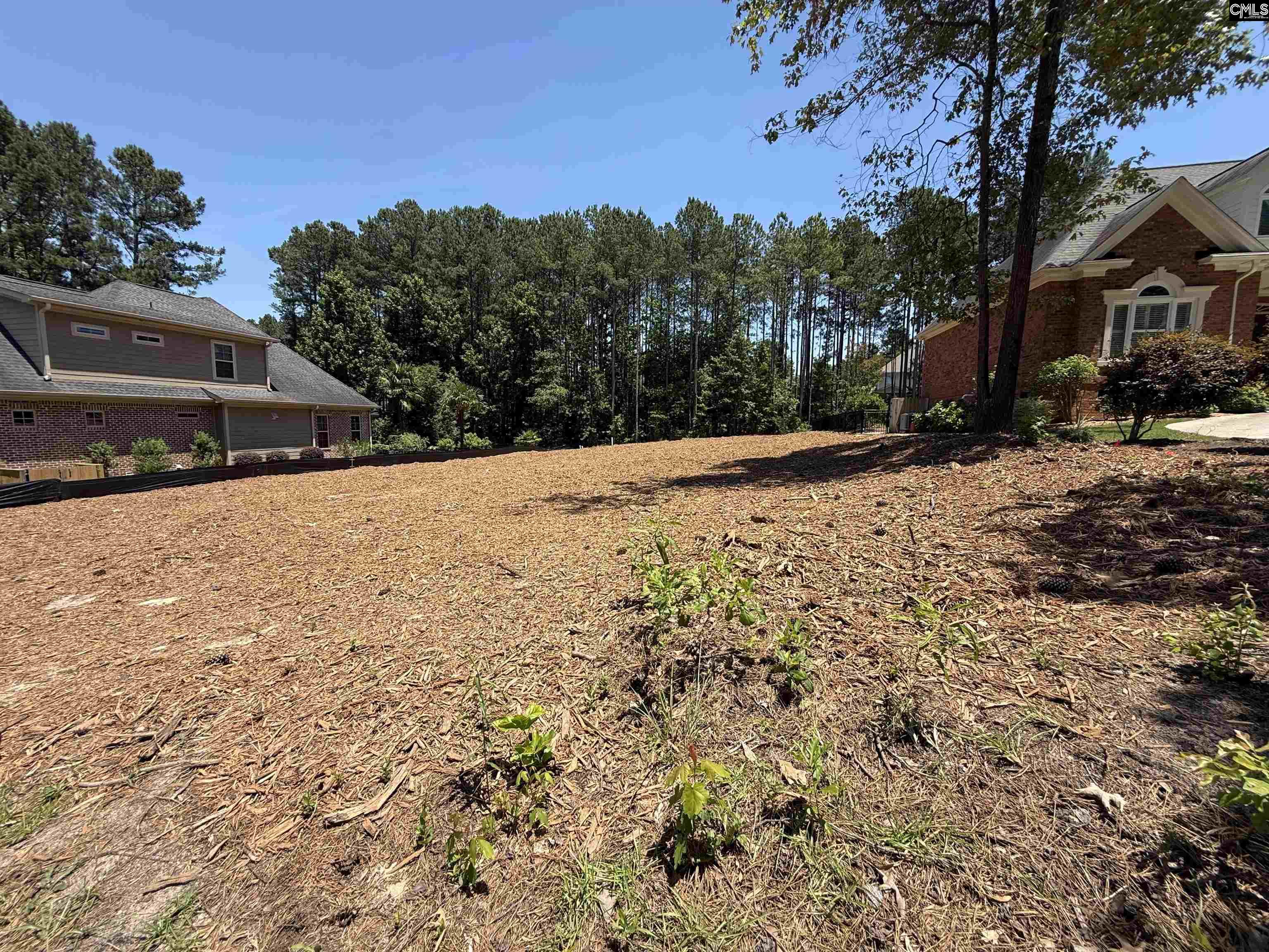 116 High Pointe Drive Blythewood, SC 29016