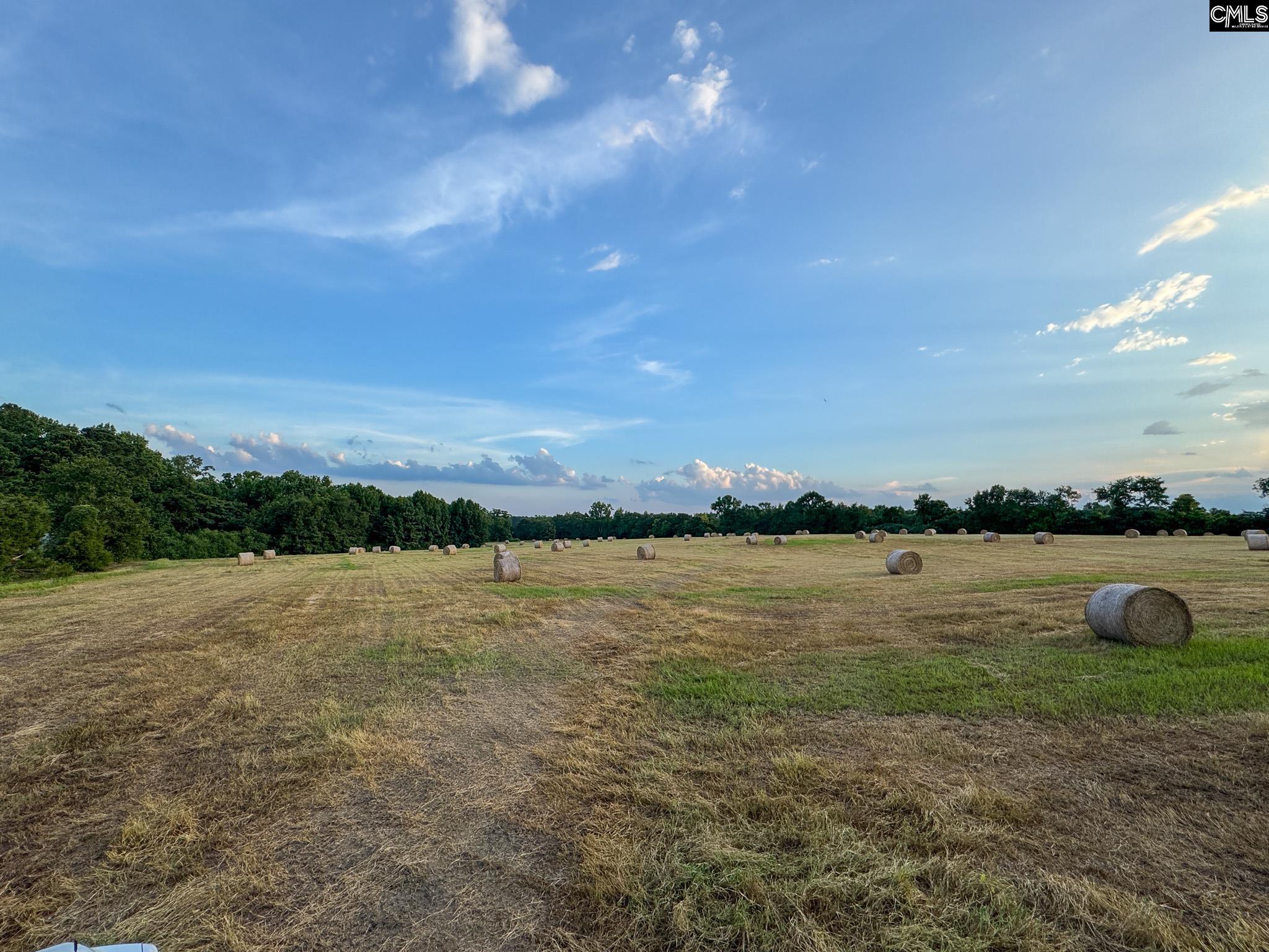 Shealy Road UNIT #3 Batesburg, SC 29006