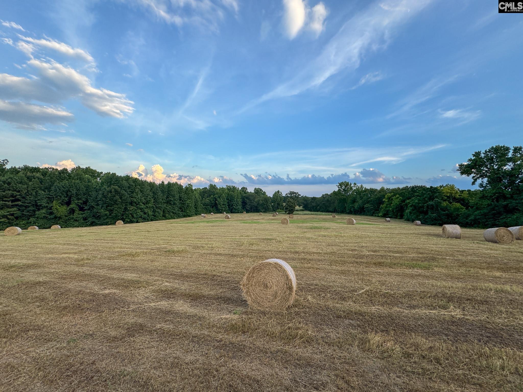 Shealy Road UNIT #3 Batesburg, SC 29006