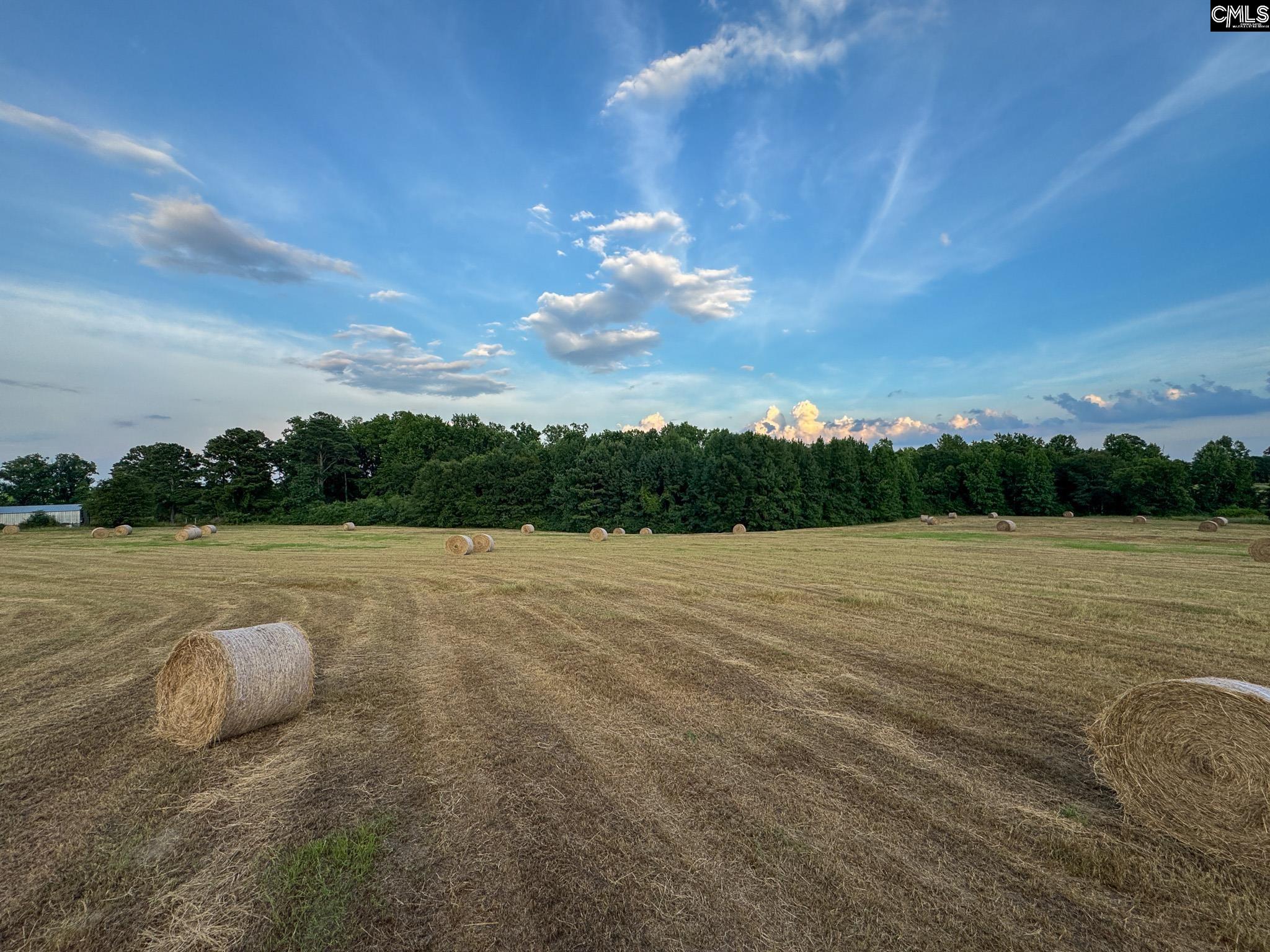 Shealy Road UNIT #3 Batesburg, SC 29006