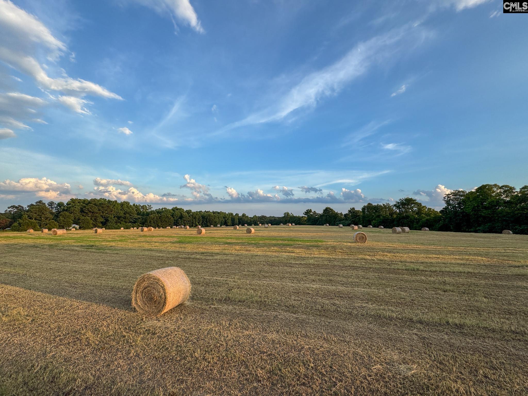 Shealy Road UNIT #6 Batesburg, SC 29006