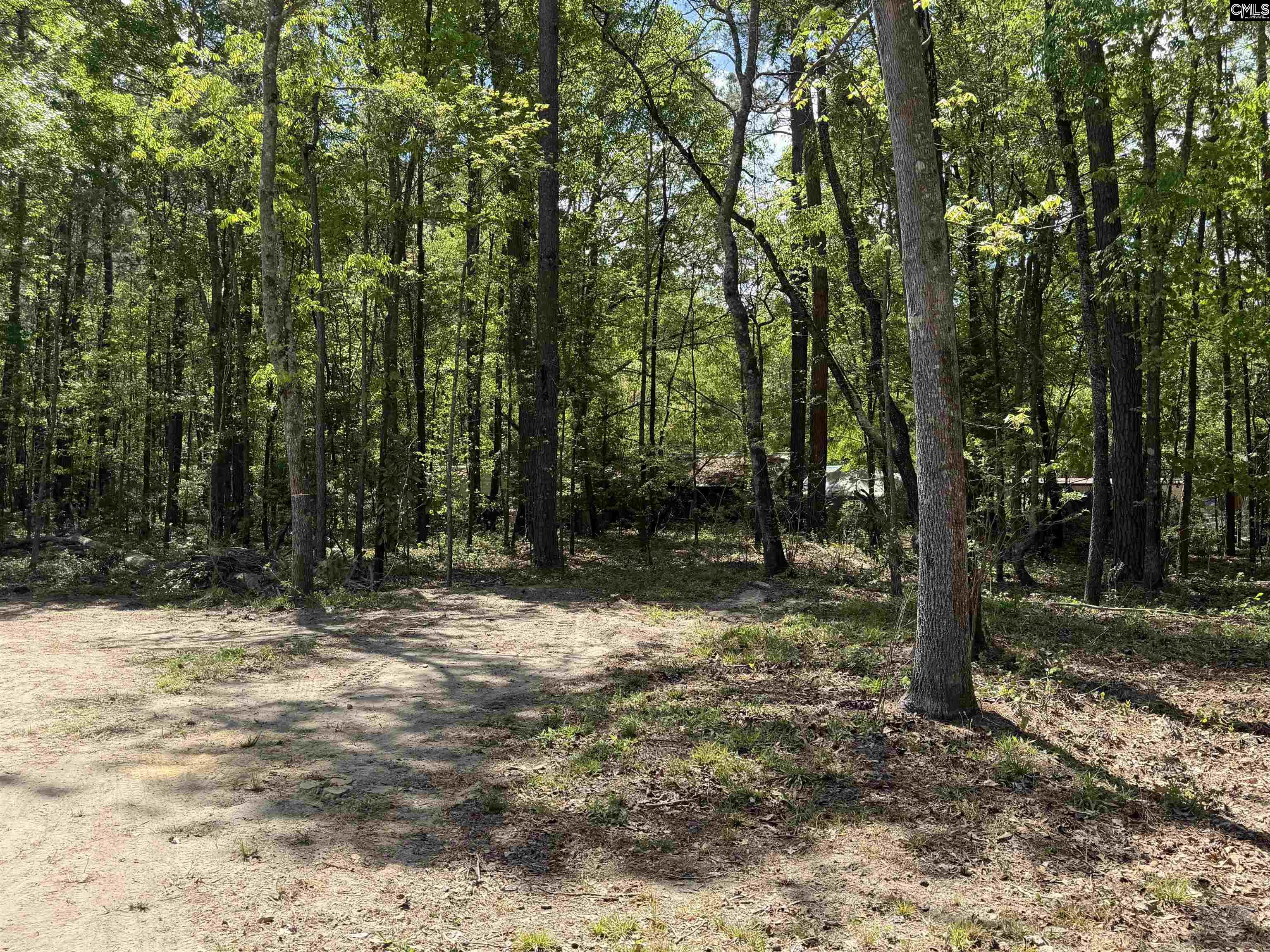 115 Ash Hill Drive Eutawville, SC 29048-9301