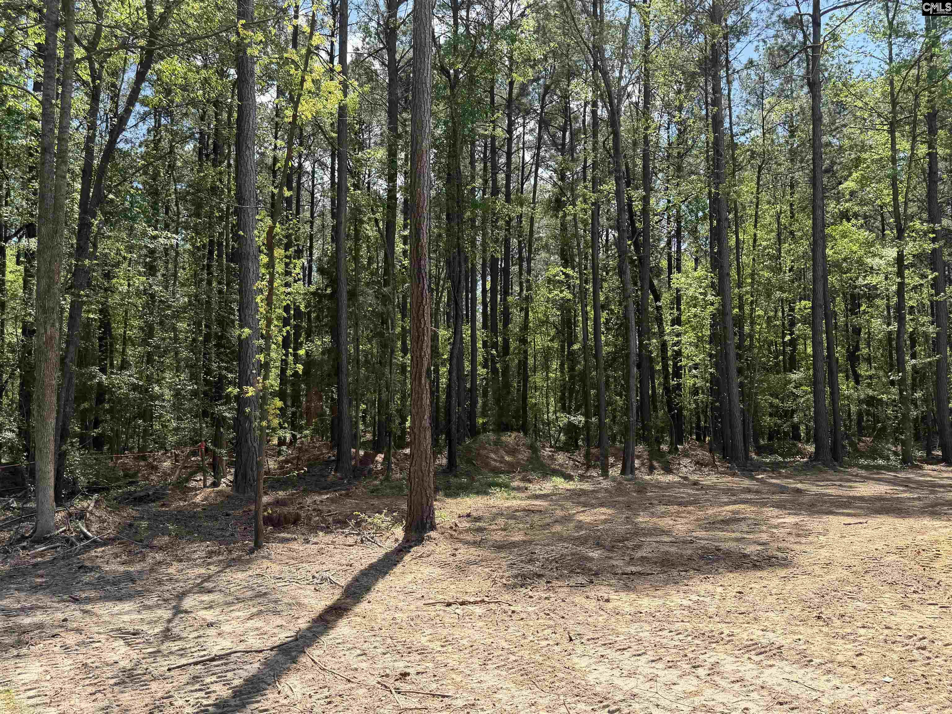 115 Ash Hill Drive Eutawville, SC 29048-9301