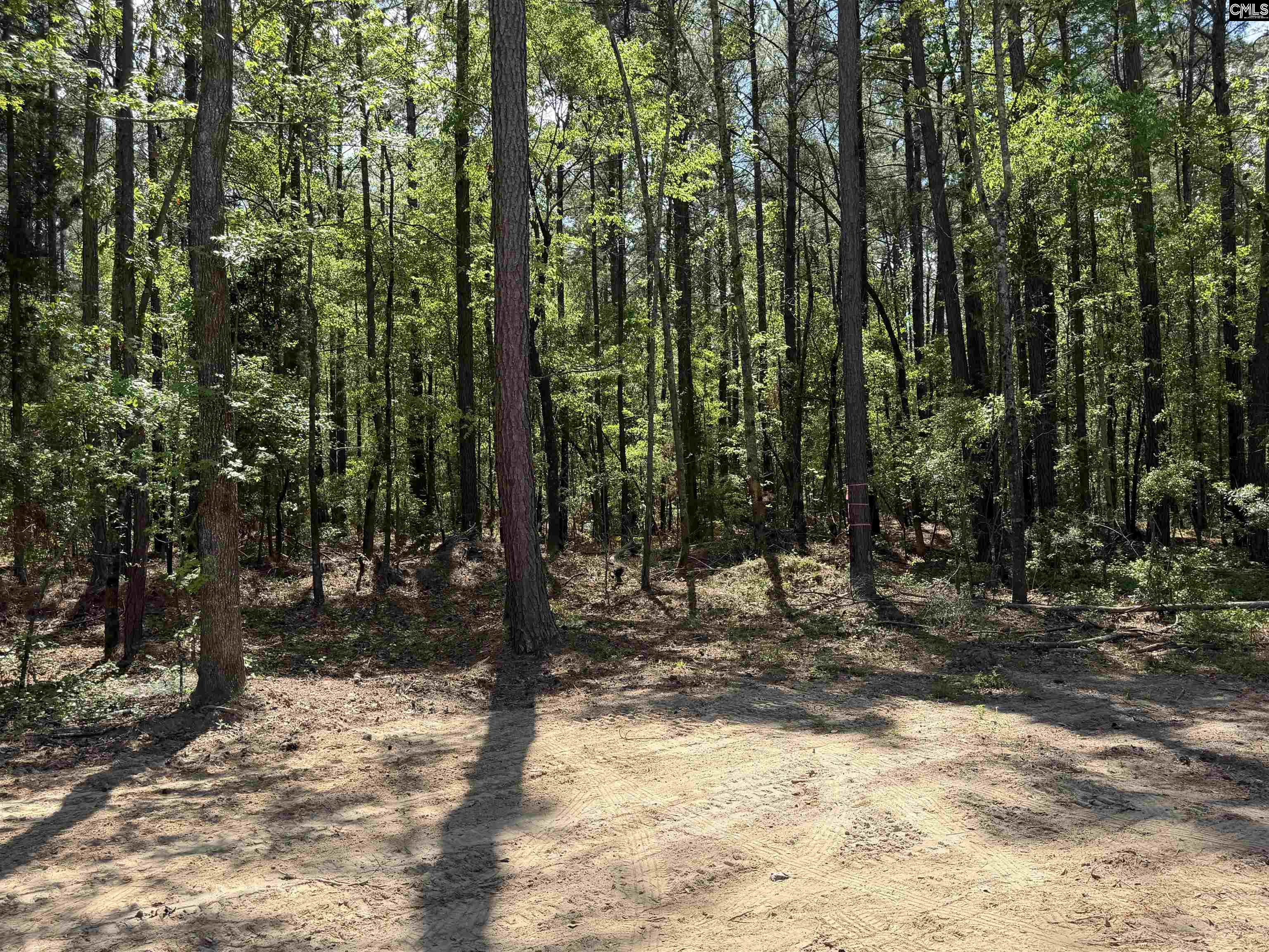 115 Ash Hill Drive Eutawville, SC 29048-9301