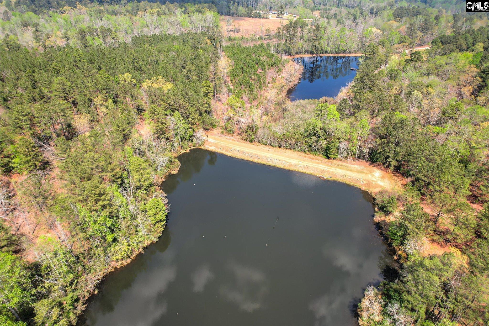 Courtney Road Trenton, SC 29847