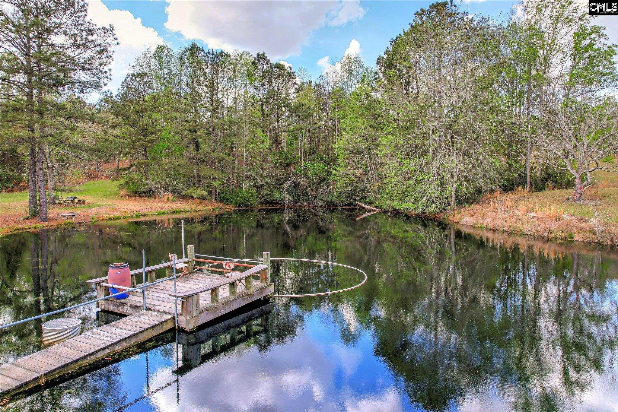 Courtney Road Trenton, SC 29847