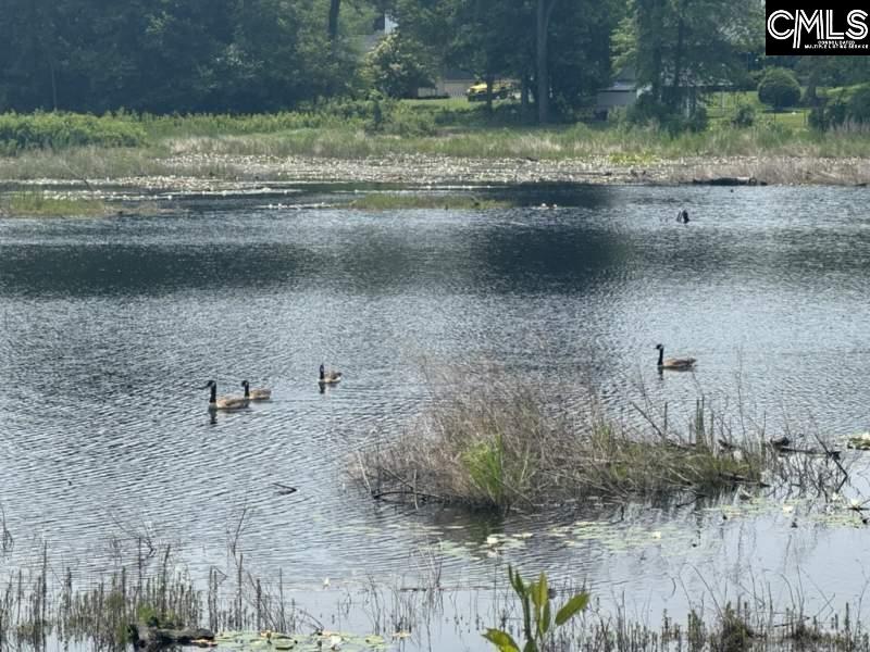 Mossborough Drive West Columbia, SC 29073