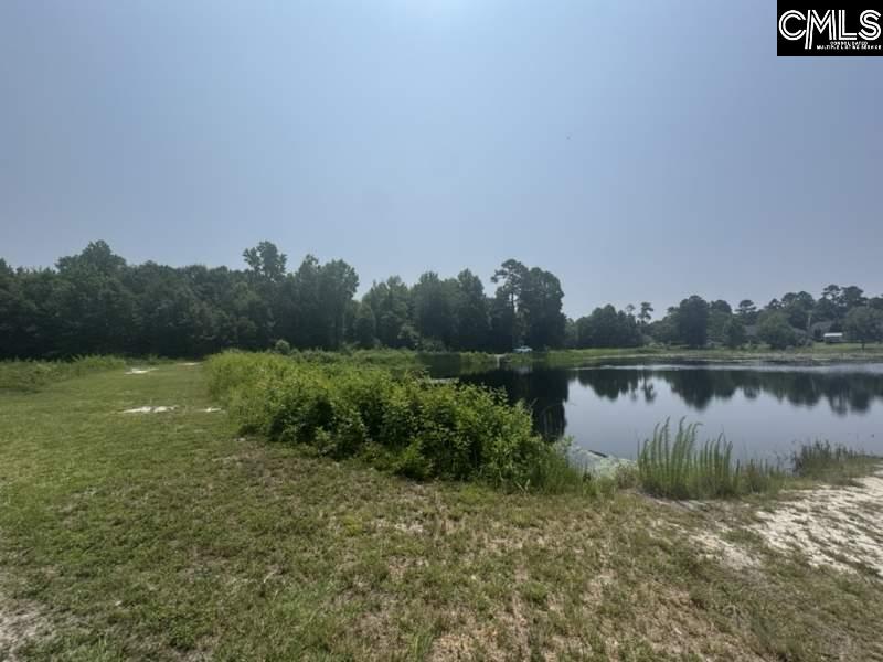 Mossborough Drive West Columbia, SC 29073