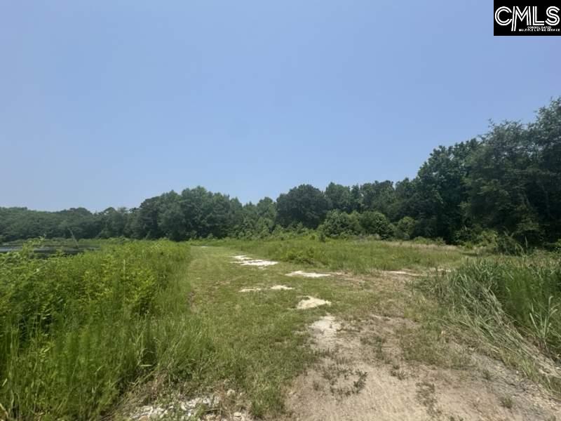 Mossborough Drive West Columbia, SC 29073