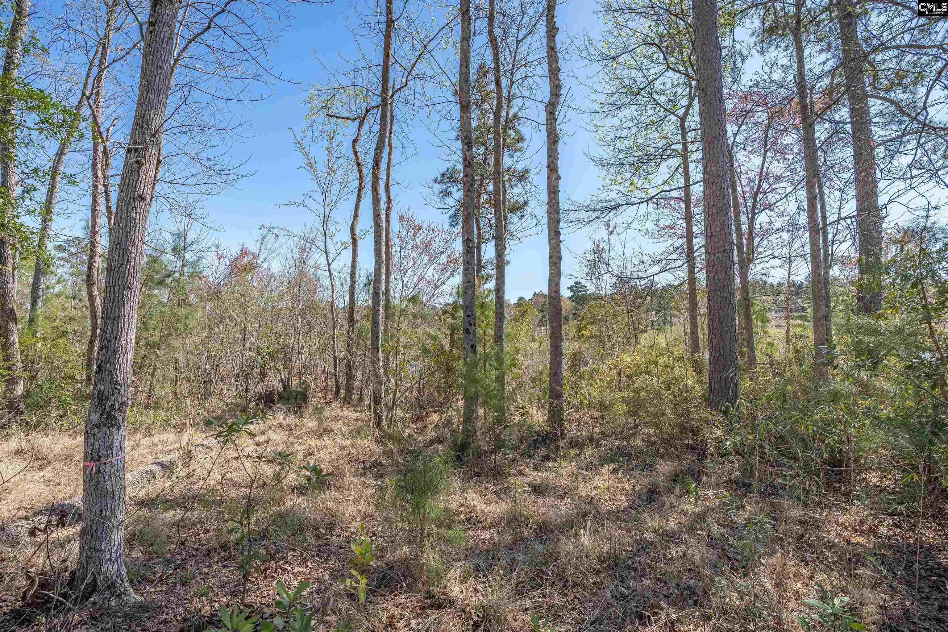624 Beaver Park Drive UNIT #27 Elgin, SC 29045