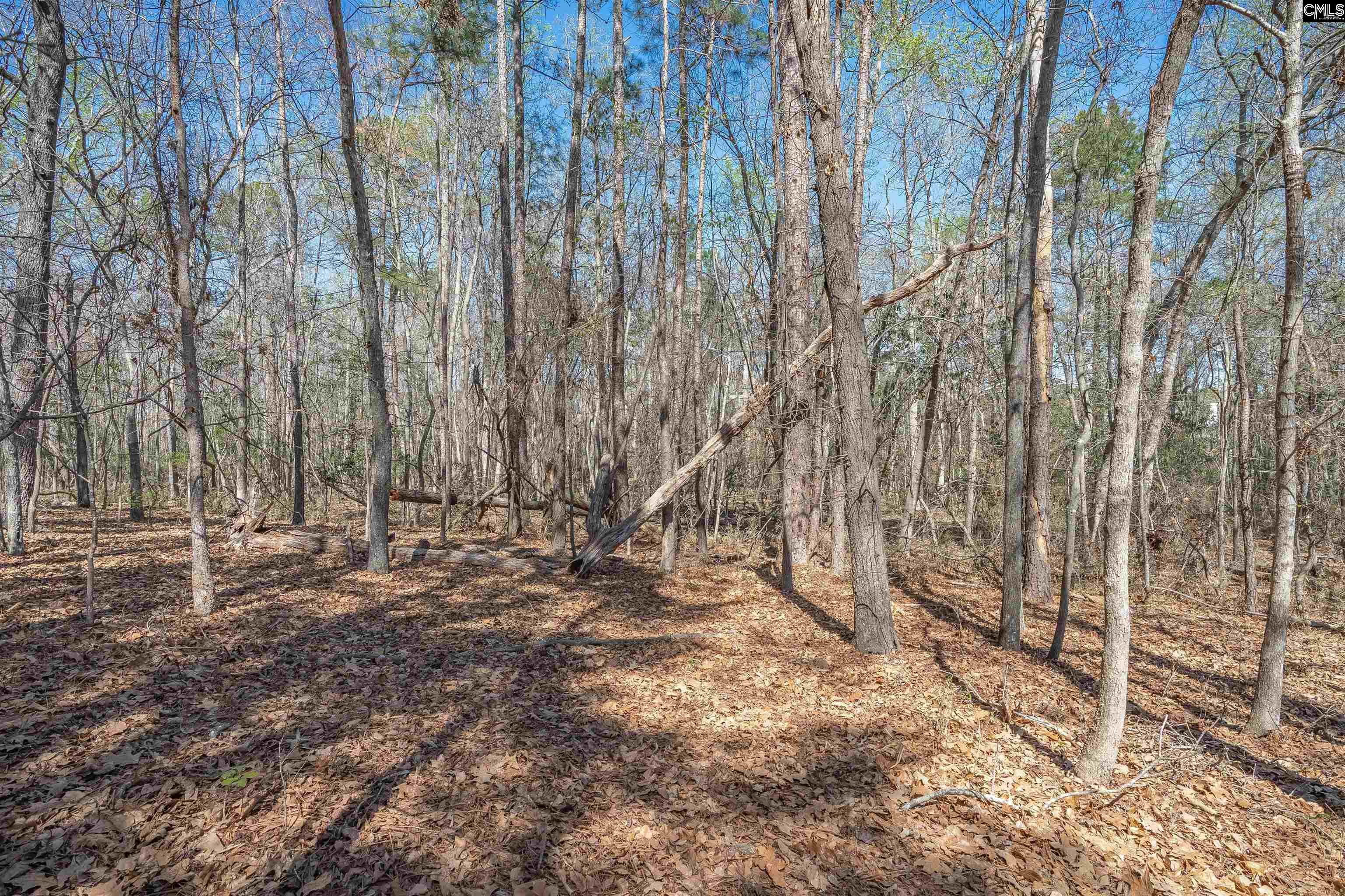 624 Beaver Park Drive UNIT #27 Elgin, SC 29045