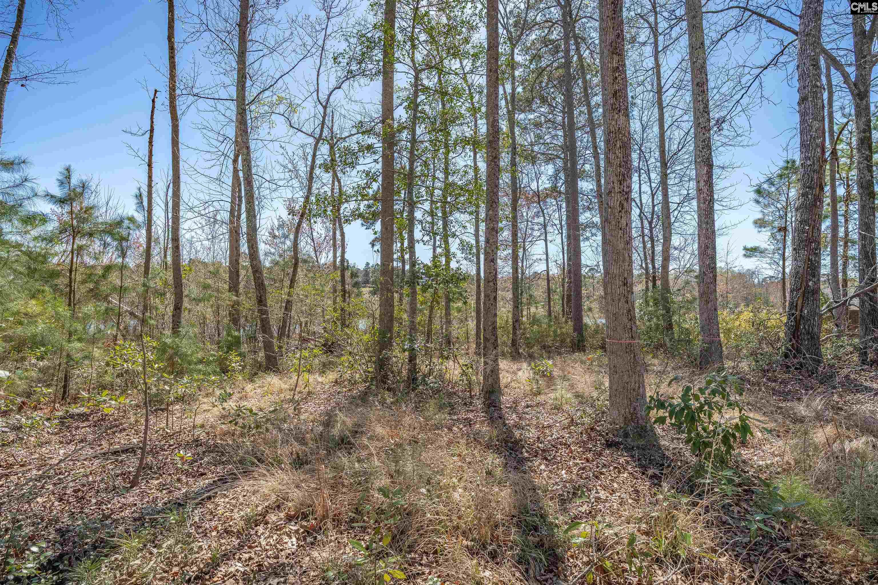 624 Beaver Park Drive UNIT #27 Elgin, SC 29045
