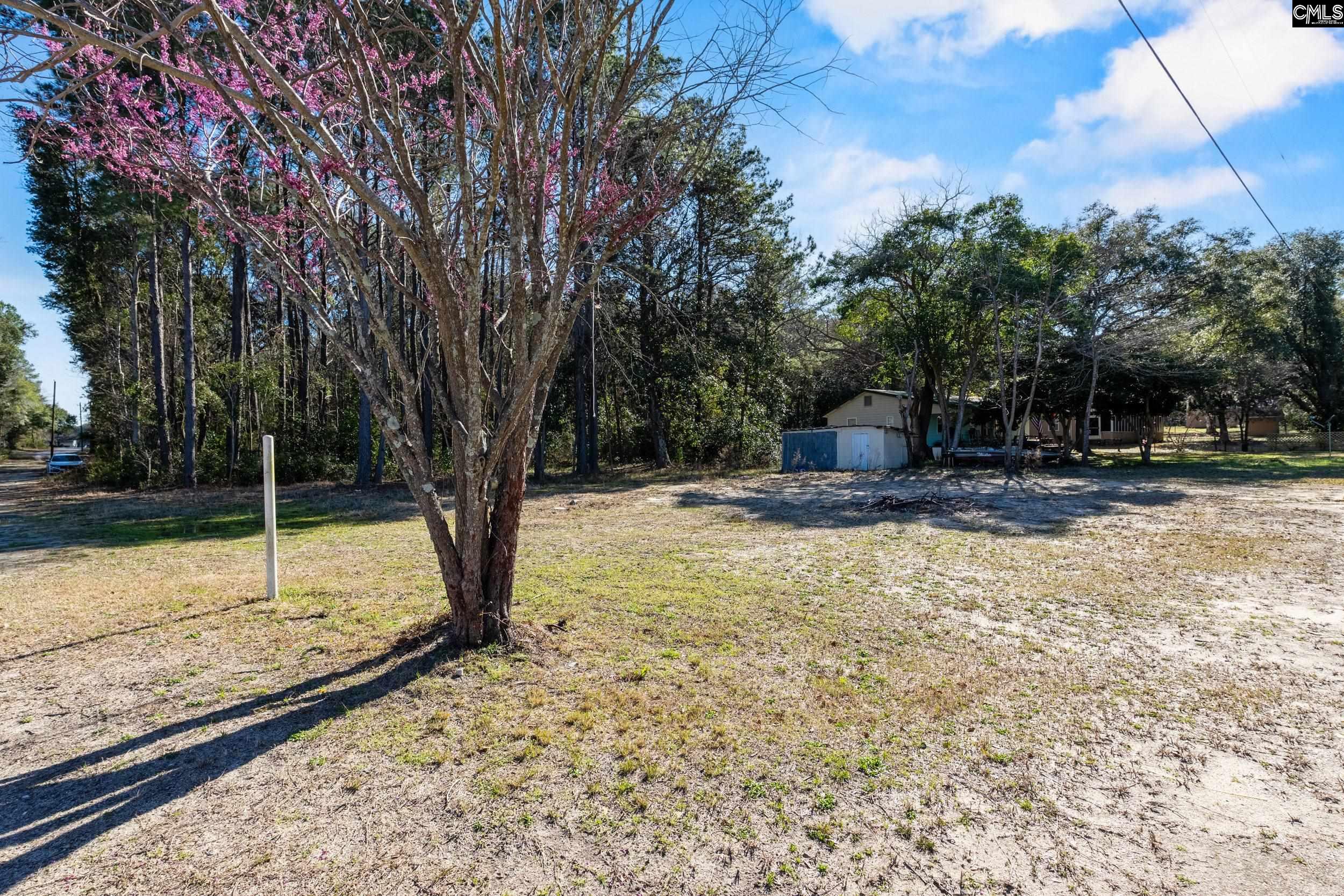 143 Severance Lane Eutawville, SC 29048-9323