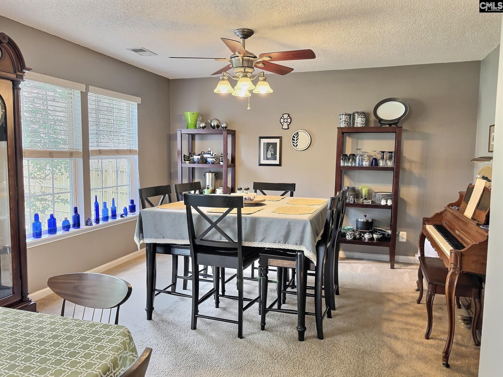 380 Eagle Pointe Drive Chapin, SC 29036