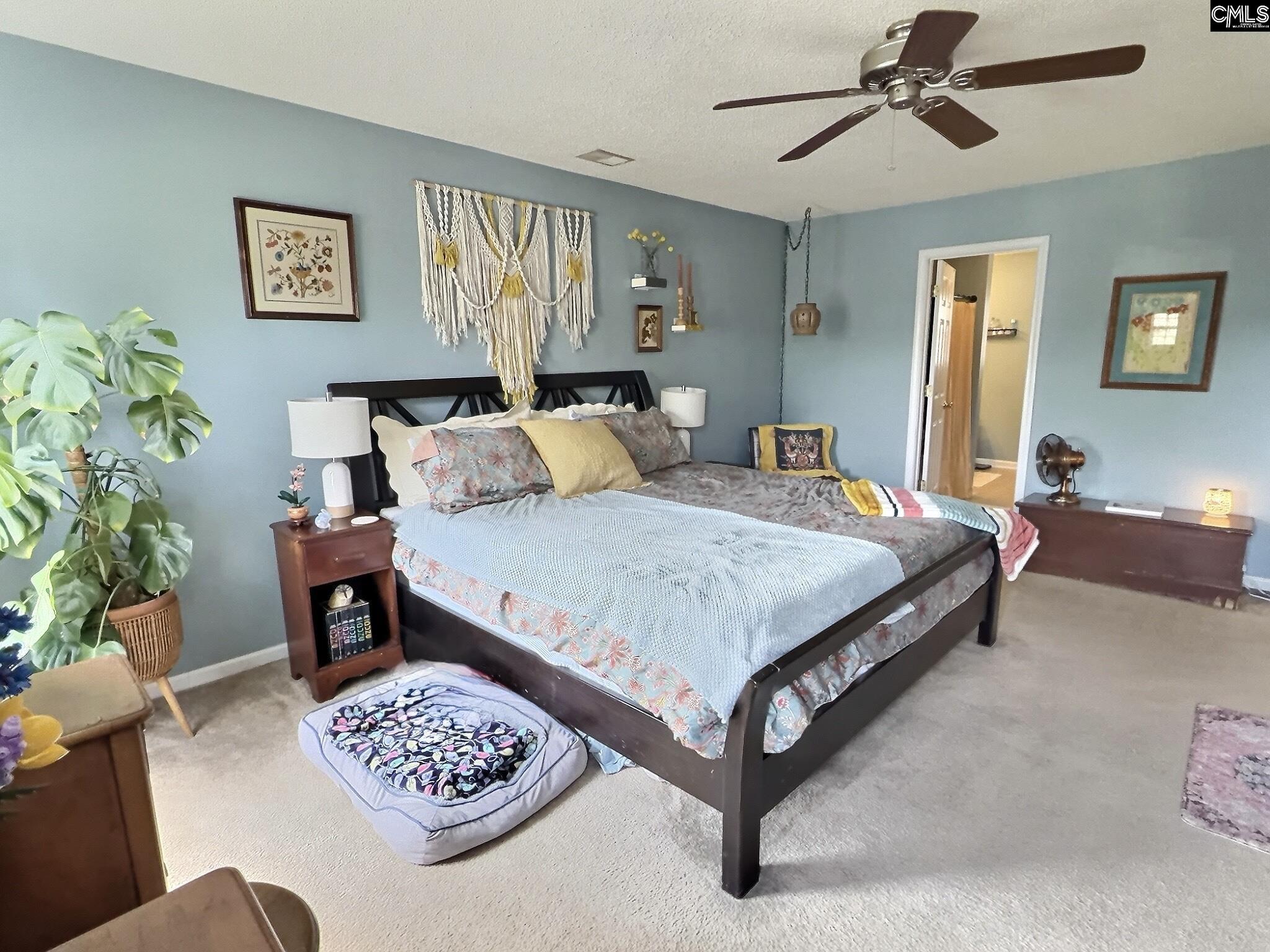380 Eagle Pointe Drive Chapin, SC 29036