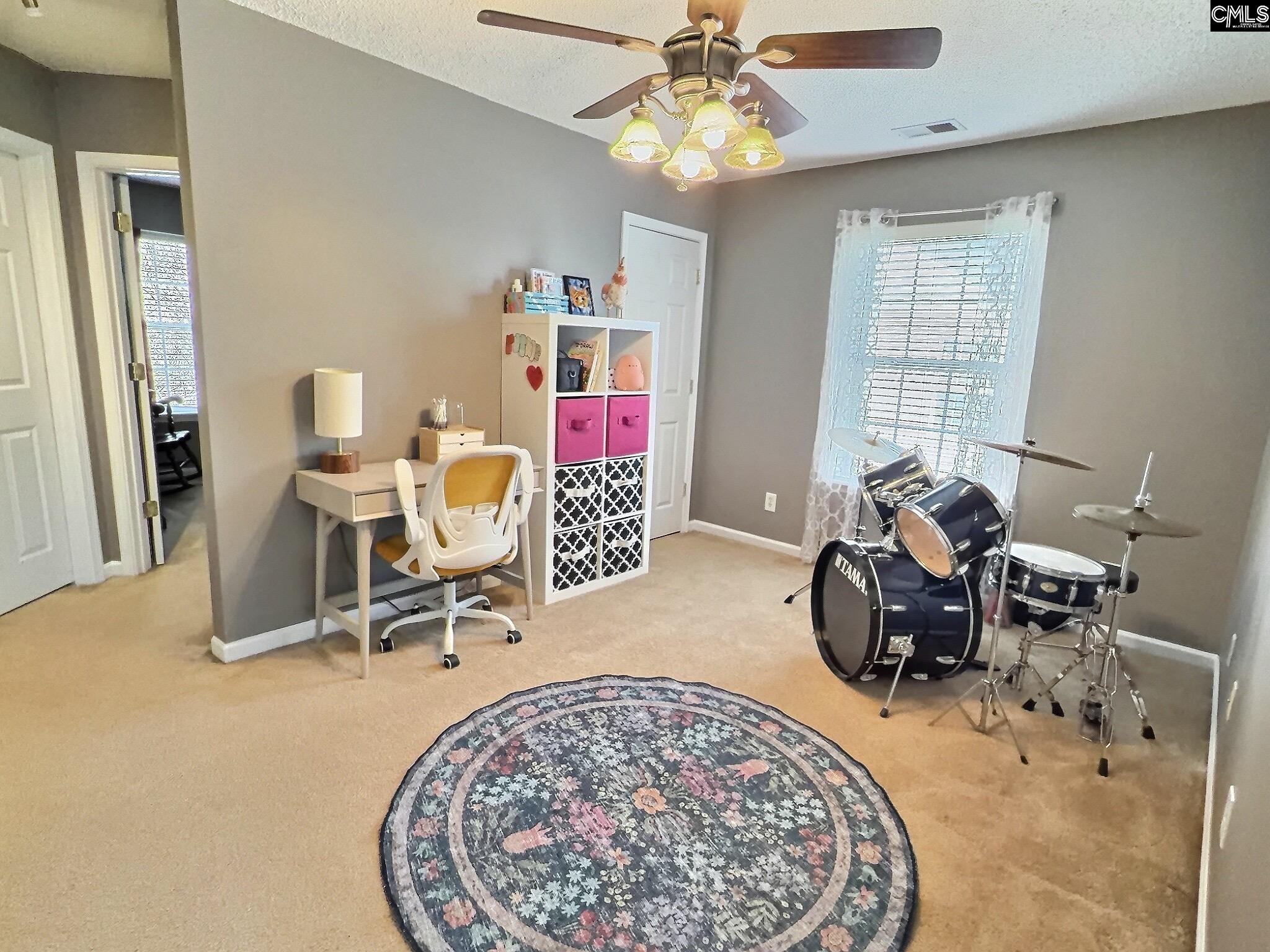 380 Eagle Pointe Drive Chapin, SC 29036