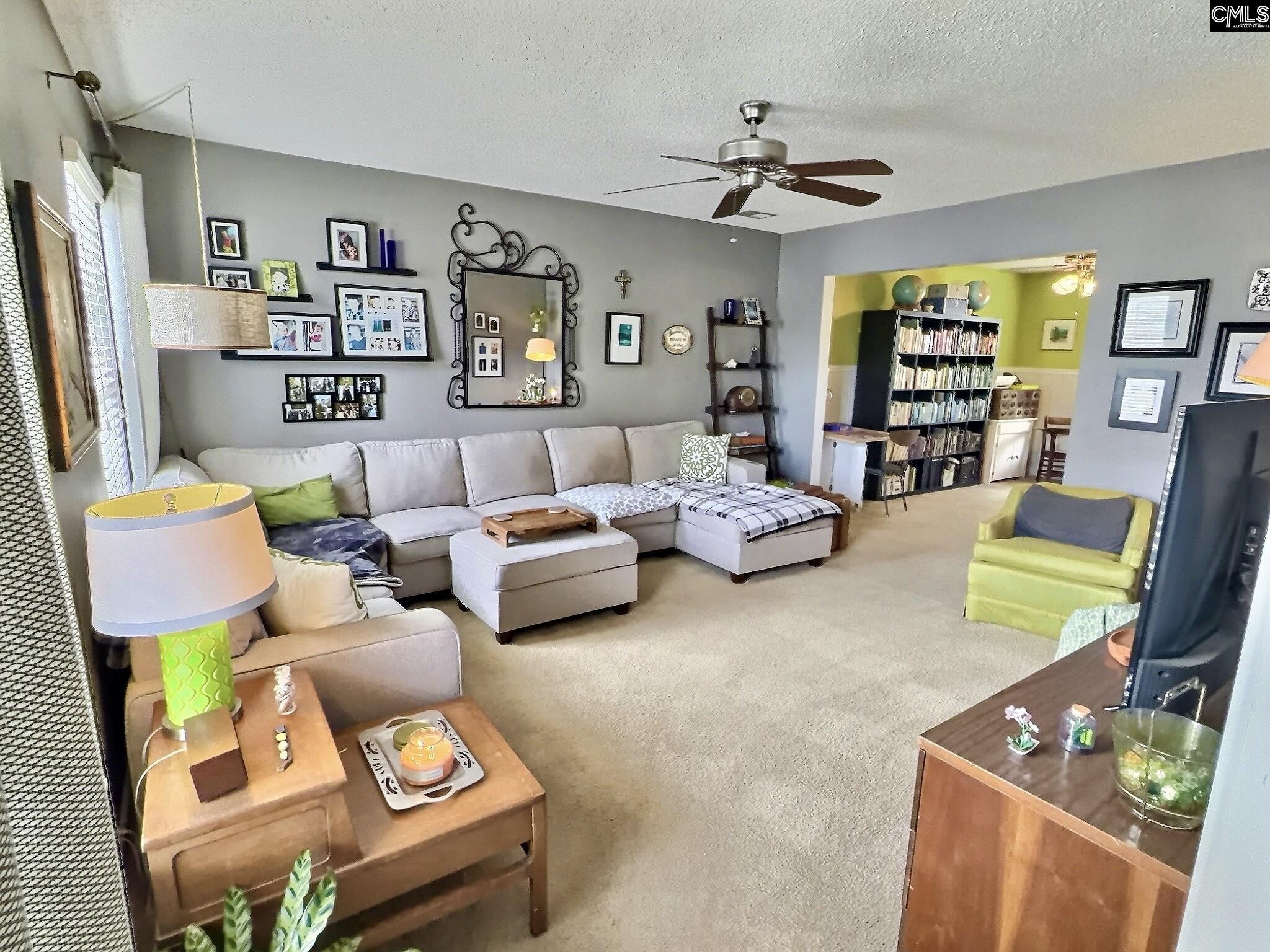 380 Eagle Pointe Drive Chapin, SC 29036