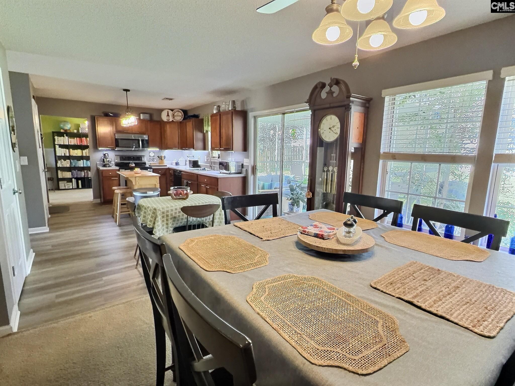 380 Eagle Pointe Drive Chapin, SC 29036