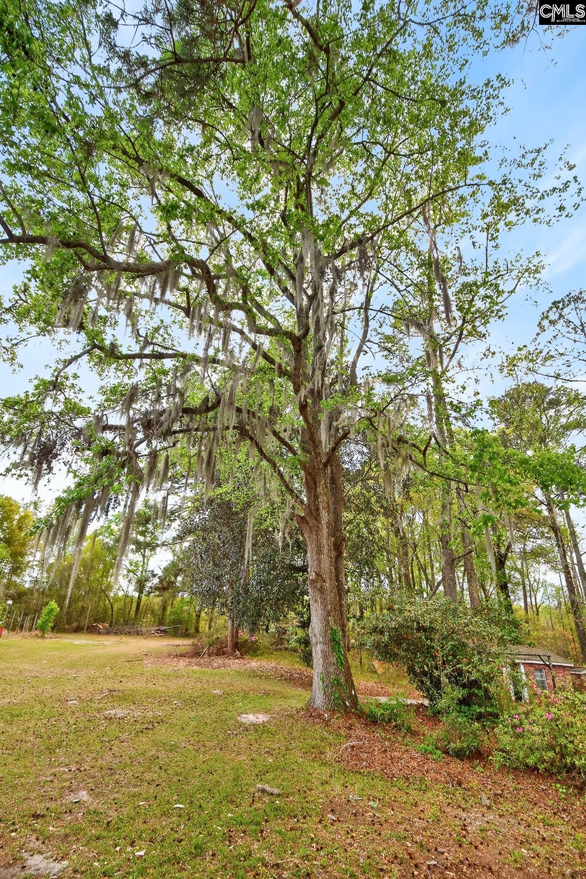 3643 Char-Augusta Road Bamberg, SC 29003