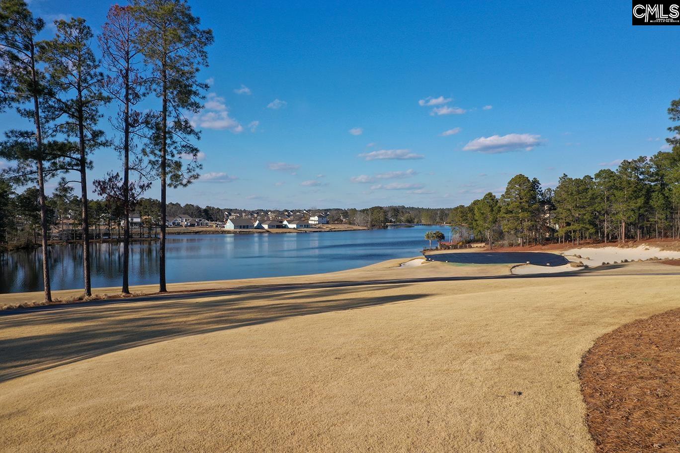 553 Jacobs Mill Pond Elgin, SC 29045