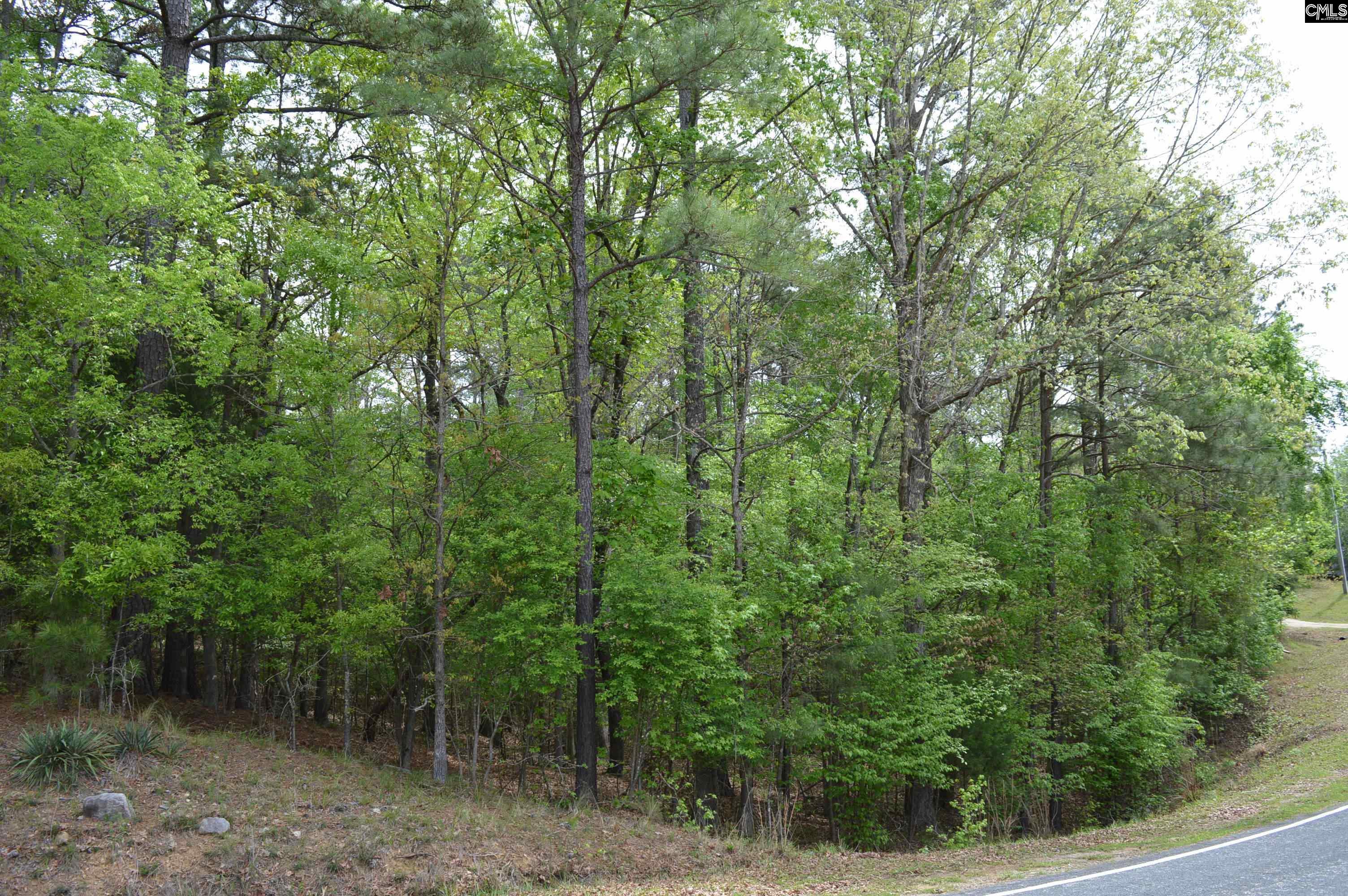 978 Rolling Hills Road Ridgeway, SC 29130